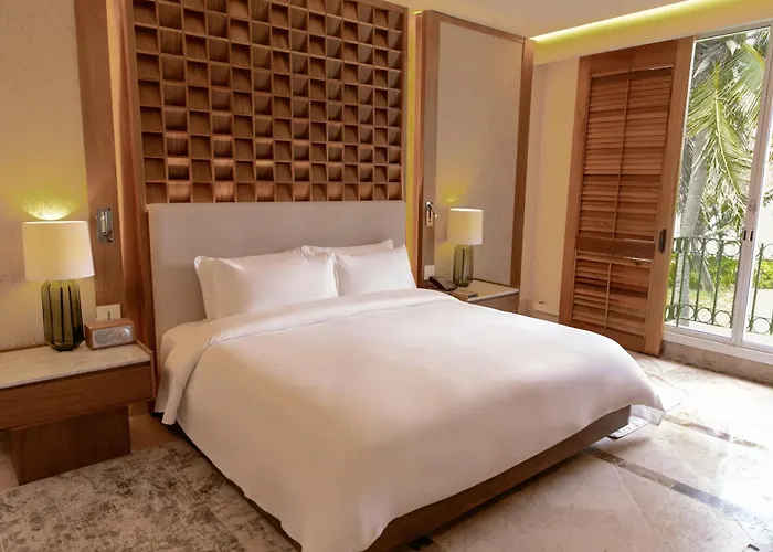 Paraiso De La Bonita, A Luxury Collection Resort, Riviera Maya, Adult
