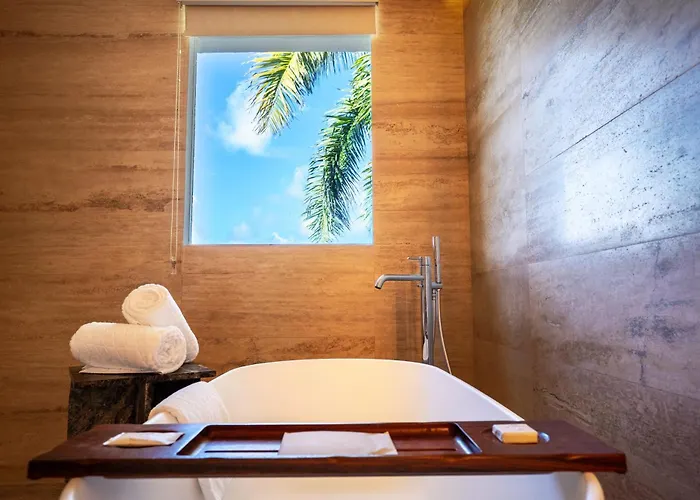 Paraiso De La Bonita, A Luxury Collection Resort, Riviera Maya, Adult Puerto Morelos