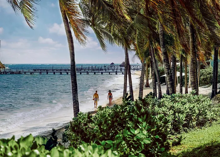 Station touristique Paraiso De La Bonita, A Luxury Collection Resort, Riviera Maya, Adult 5*